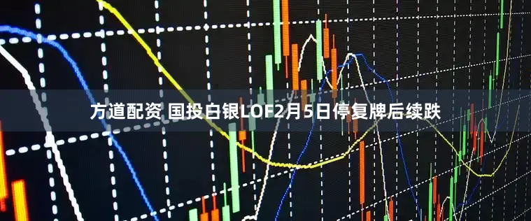方道配资 国投白银LOF2月5日停复牌后续跌